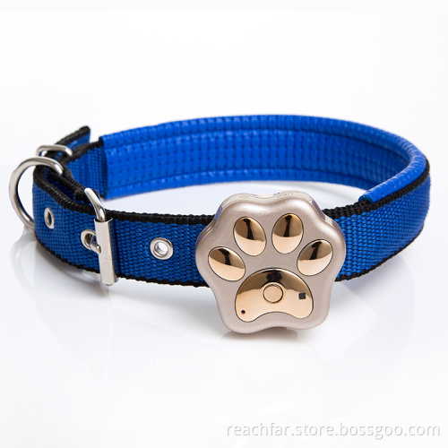 worlds smallest gps dog collar pet tracker for cat